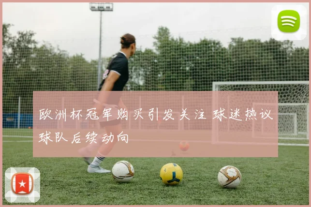 欧洲杯冠军购买引发关注 球迷热议球队后续动向