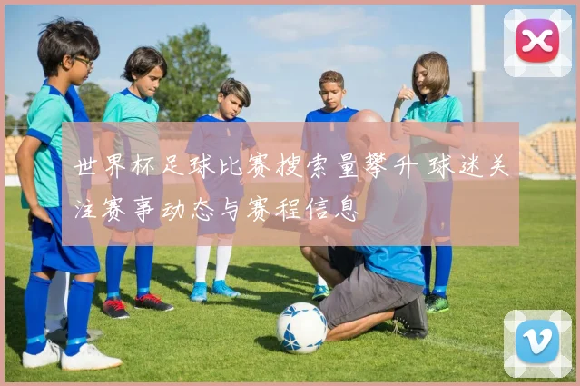 世界杯足球比赛搜索量攀升 球迷关注赛事动态与赛程信息