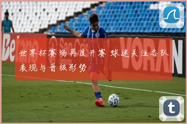 世界杯赛场再度开赛 球迷关注各队表现与晋级形势