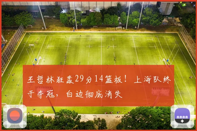 王哲林狂轰29分14篮板！上海队终于夺冠，白边彻底消失