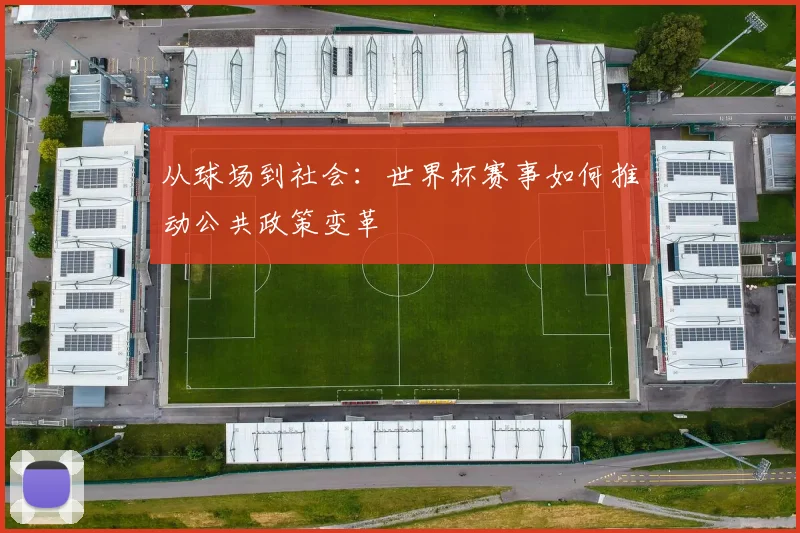 从球场到社会：世界杯赛事如何推动公共政策变革