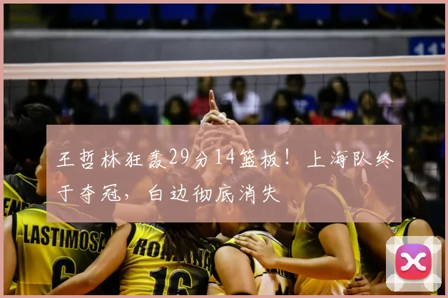 王哲林狂轰29分14篮板！上海队终于夺冠，白边彻底消失